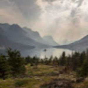 Meet your Posher, Wyatt